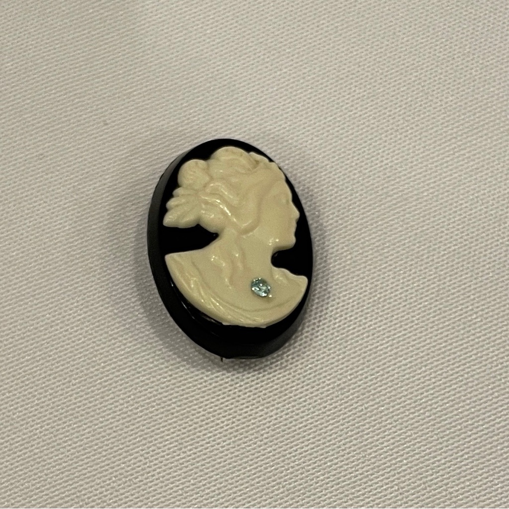 Vintage Elegant Black And Cream Cameo Brooch/Pin